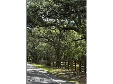RARE OPPURTUNITY for highly desirable +/- 1/2 ACRE lot with - photo 19