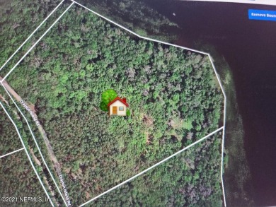 Lake Acreage Off Market in Georgetown, Florida