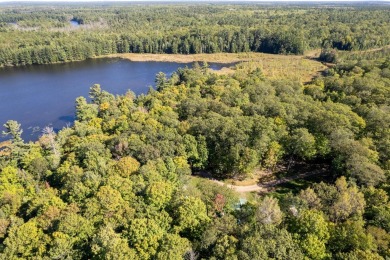 10AC Parcel on W. Ellerson Lake - Lake Acreage For Sale in Lac Du Flambeau, Wisconsin