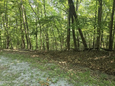 Lake Acreage For Sale in Crossville, Tennessee