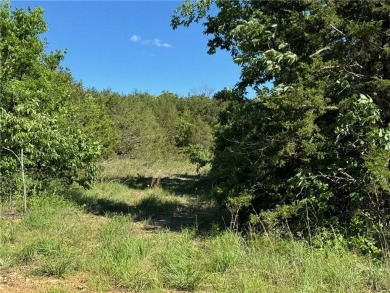 Lake Acreage For Sale in Lead Hill, Arkansas