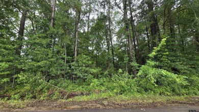 Lake Lot For Sale in Bullard, Texas
