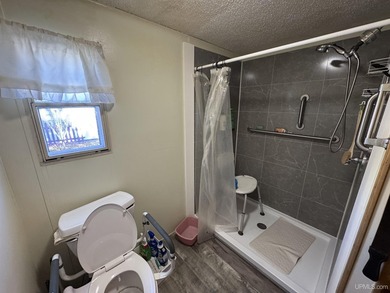 Check out this Park home in White Birch Village in the 55 and - photo 9
