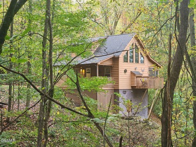 (private lake, pond, creek) Home For Sale in Sevierville Tennessee