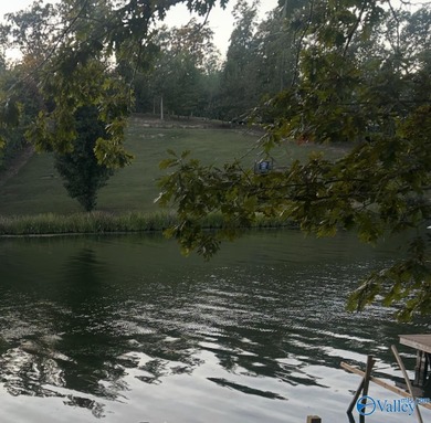 300' +/- of waterfront prime property with NATURAL sandy bottom - photo 1