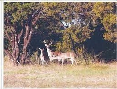Build your custom home in this prime development. Close to 2 - photo 8