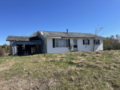 (private lake, pond, creek) Home For Sale in Wellington Kentucky