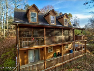 Lake Home For Sale in New Tazewell, Tennessee