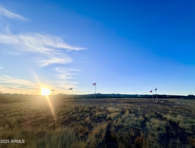 Concho Lake Lot Sale Pending in Concho Arizona