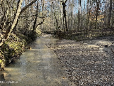 (private lake, pond, creek) Acreage For Sale in Hermanville Mississippi