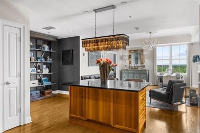 Welcome to luxury living at The Phoenix on Peachtree-an