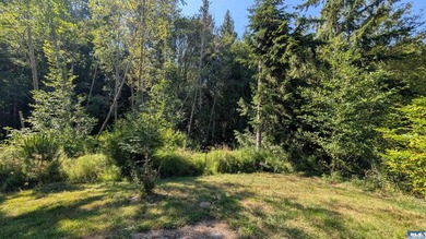 Peaceful park-like setting in Dungeness Meadows! Updates meet - photo 33