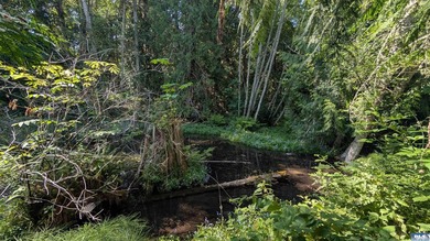 Peaceful park-like setting in Dungeness Meadows! Updates meet - photo 34