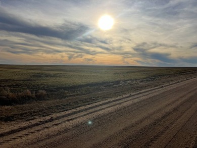 (private lake, pond, creek) Acreage For Sale in Rozel Ks Kansas