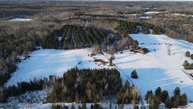 (private lake, pond, creek) Home For Sale in Mio Michigan