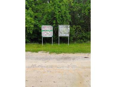 Lake Lot For Sale in Cresent City, Florida