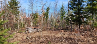 (private lake, pond, creek) Acreage For Sale in White Cloud Michigan