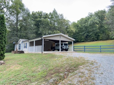 Lake Home For Sale in Blue Ridge, Georgia