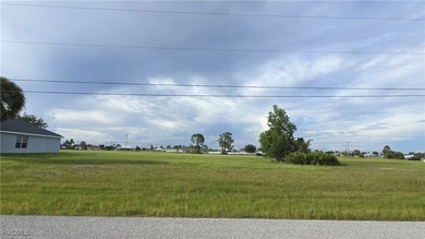 ATTENTION INVESTORS & DEVELOPERS! Prime 0.34-acre - photo 3
