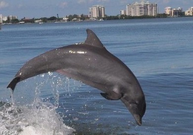 Build your Florida sanctuary on this oversized HIGH AND DRY - photo 9