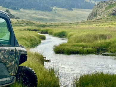 (private lake, pond, creek) Acreage For Sale in Tierra Amarilla New Mexico