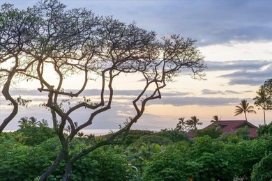 Welcome to Makalii one of Wailea's newest luxury residences - photo 10