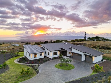 A newly completed 2023 Custom home in the prestigious Kula Io - photo 1