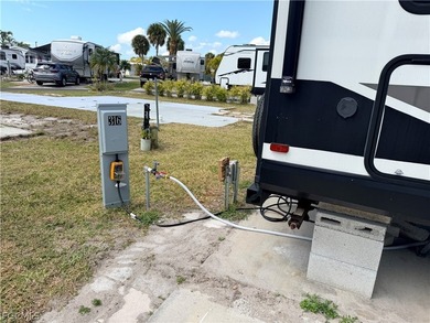 Embrace the tropical lifestyle at Palmetto Palms RV 55+ Condo - photo 13