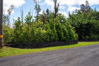 RARE Offering for a vacant lot in HPP. The entire 1-acre parcel - photo 17