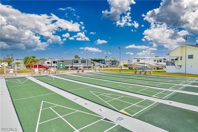 Embrace the tropical lifestyle at Palmetto Palms RV 55+ Condo - photo 18