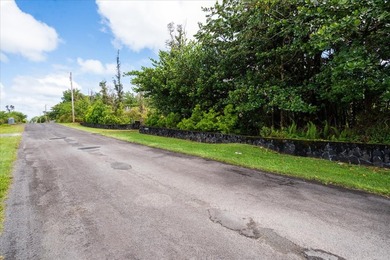 RARE Offering for a vacant lot in HPP. The entire 1-acre parcel - photo 18