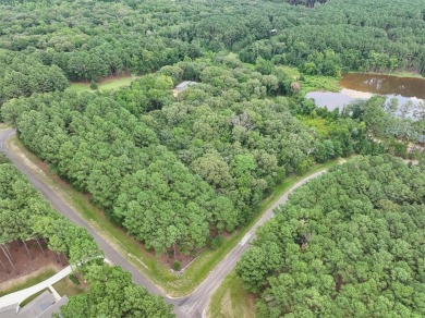 Welcome to Safari Waters Ranch, a secluded, gated community - photo 5