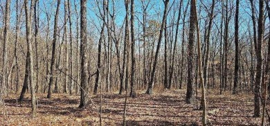 Freedom Lake  Acreage For Sale in Dunlap Tennessee