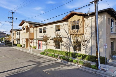 Prime downtown St. Helena commercial building available for - photo 42