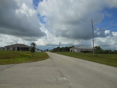 Spacious NW Cape Coral Triple Lot for Your Custom Build. Don't - photo 7