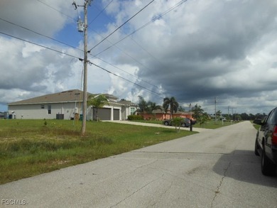 Spacious NW Cape Coral Triple Lot for Your Custom Build. Don't - photo 8