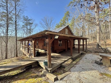 Lake Home For Sale in Mountain View, Arkansas