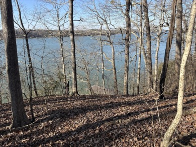 Lake Lot For Sale in Harrison, Tennessee