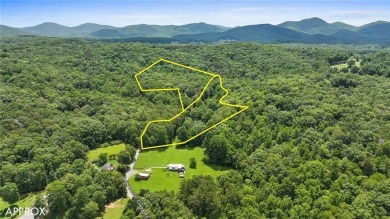 Lake Acreage For Sale in Morganton, Georgia