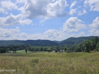 Norris Lake Acreage Sale Pending in Maynardville Tennessee