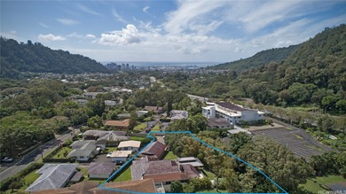 Get ready for Old Pali living in the modern era! Feast your eyes - photo 1