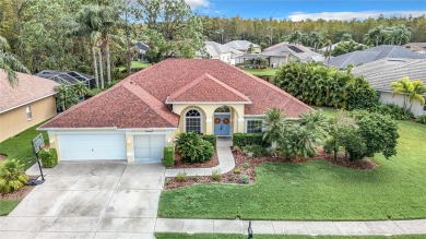 (private lake, pond, creek) Home For Sale in Trinity Florida