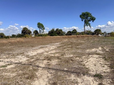 FRESHWATER CANAL LOT-New Improved Price! Build your dream home - photo 2