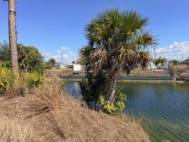 FRESHWATER CANAL LOT-New Improved Price! Build your dream home - photo 4