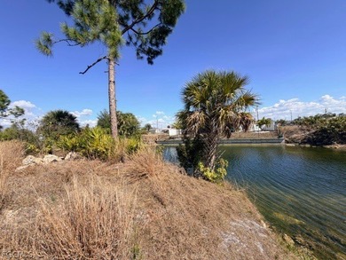 FRESHWATER CANAL LOT-New Improved Price! Build your dream home - photo 5