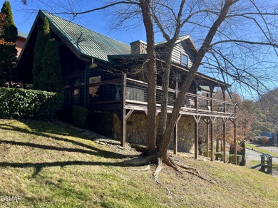 (private lake, pond, creek) Home For Sale in Sevierville Tennessee