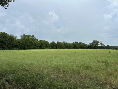 Lake Palestine Acreage For Sale in Frankston Texas