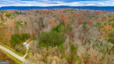 (private lake, pond, creek) Lot For Sale in Wildwood Georgia