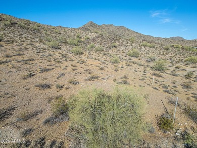 Exclusive Custom Homesite in Verrado's Prestigious custom home - photo 11