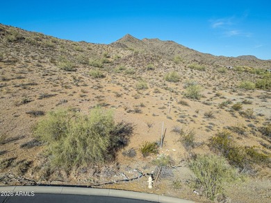 Exclusive Custom Homesite in Verrado's Prestigious custom home - photo 13